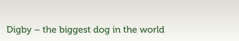 Digby – the biggest dog in the world_Title