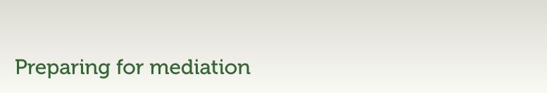 Preparing for mediation_Title