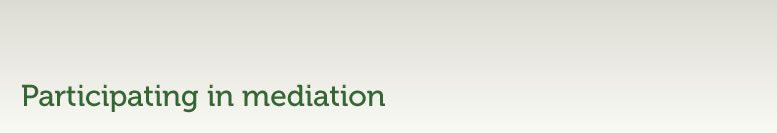 Participating in mediation_Title